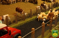 BRUSHWOOD TOYS AUTHENIC STOCK FENCING BT2092
