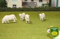 BRUSHWOOD TOYS SUMMER GRASS FIELD BT2072