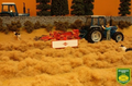 BRUSHWOOD TOYS LOOSE HAY BT2095