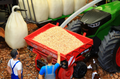 BRUSHWOOD 1:32 SCALE BT3049 BULK CROP SEED 450g